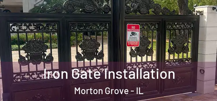 Iron Gate Installation Morton Grove - IL